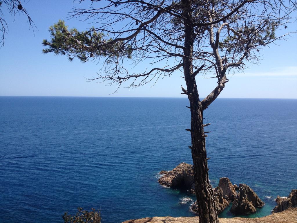 Gran Hotel Reymar 4 Sup Tossa de Mar Kültér fotó